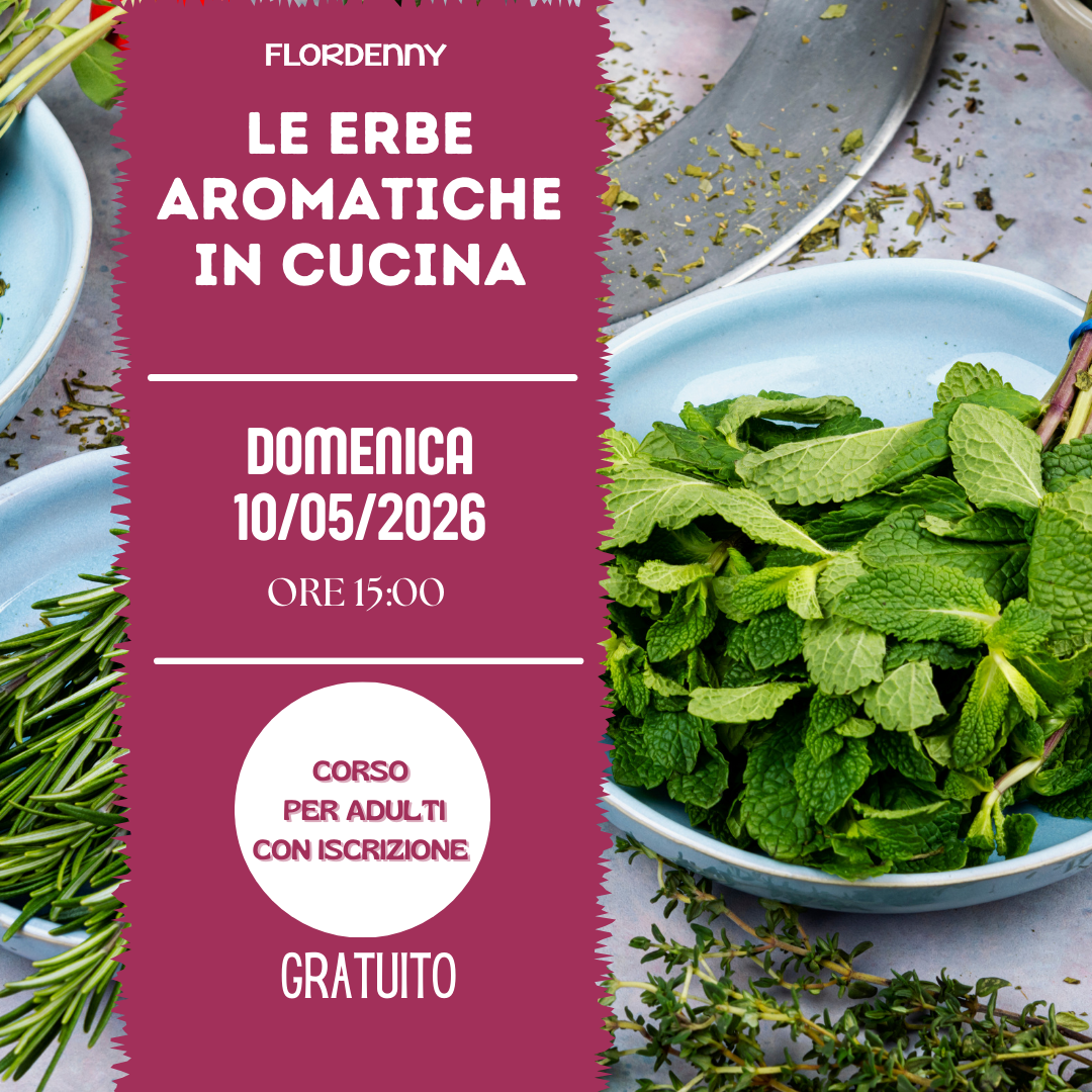 Le salamoie di erbe aromatiche