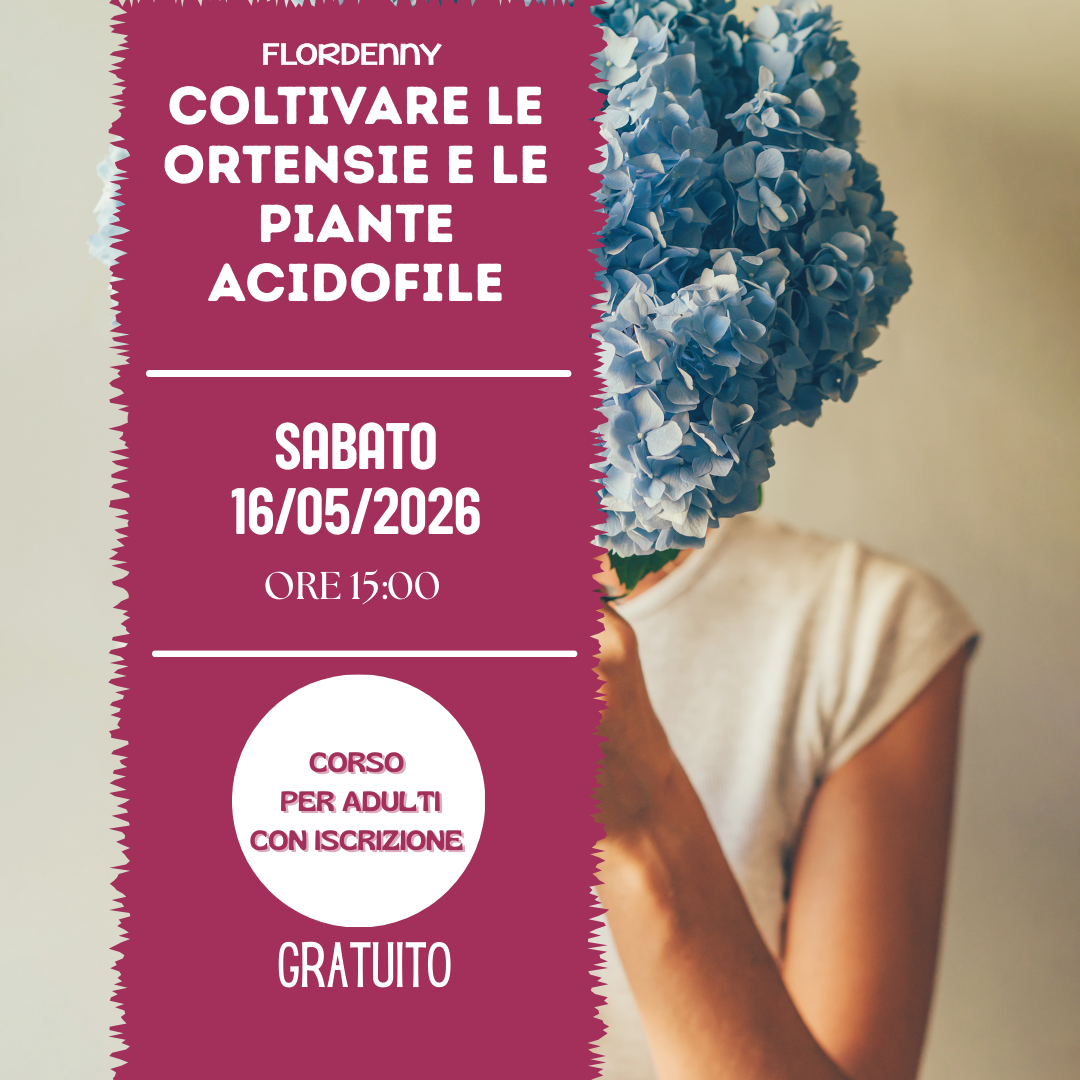 Le salamoie di erbe aromatiche