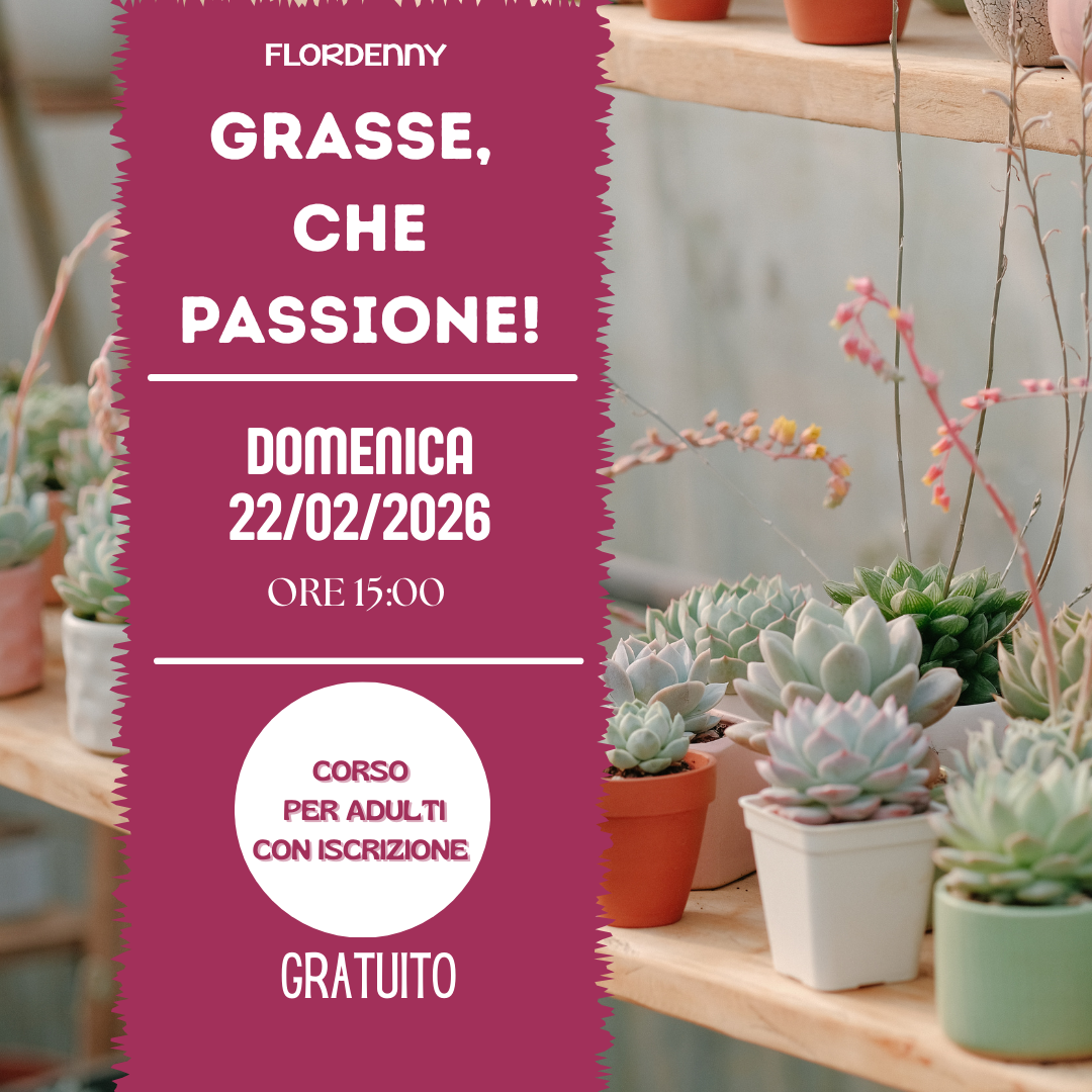 Le salamoie di erbe aromatiche