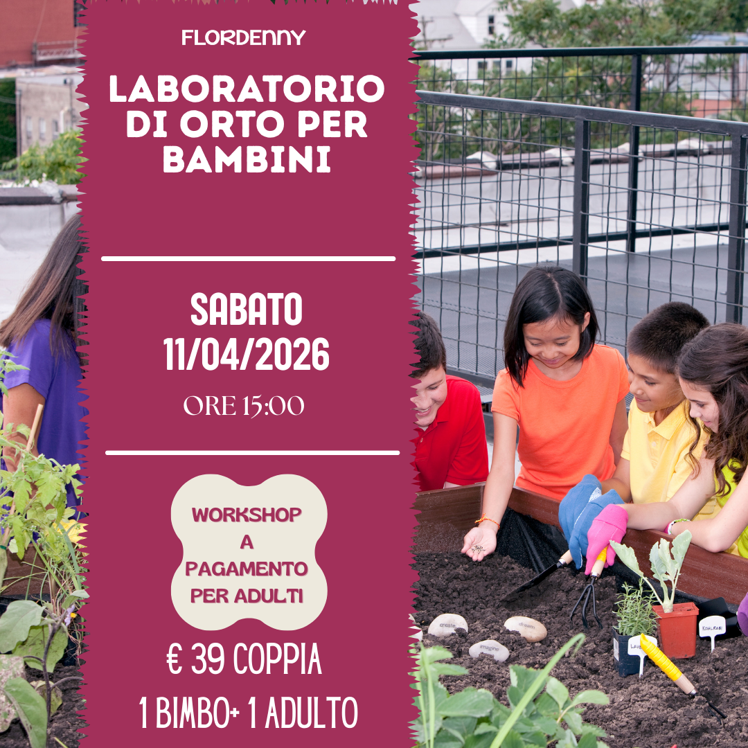 Le salamoie di erbe aromatiche