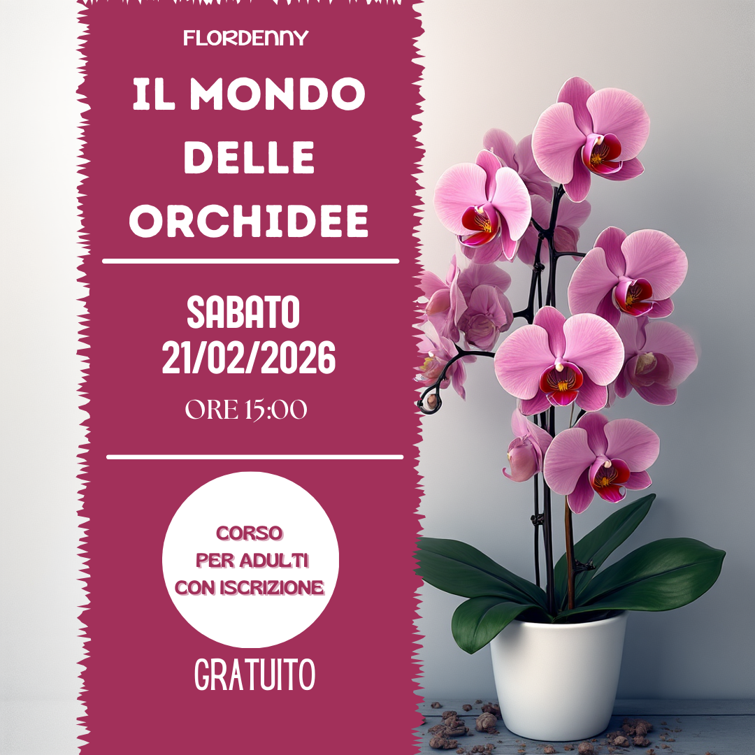 Le salamoie di erbe aromatiche