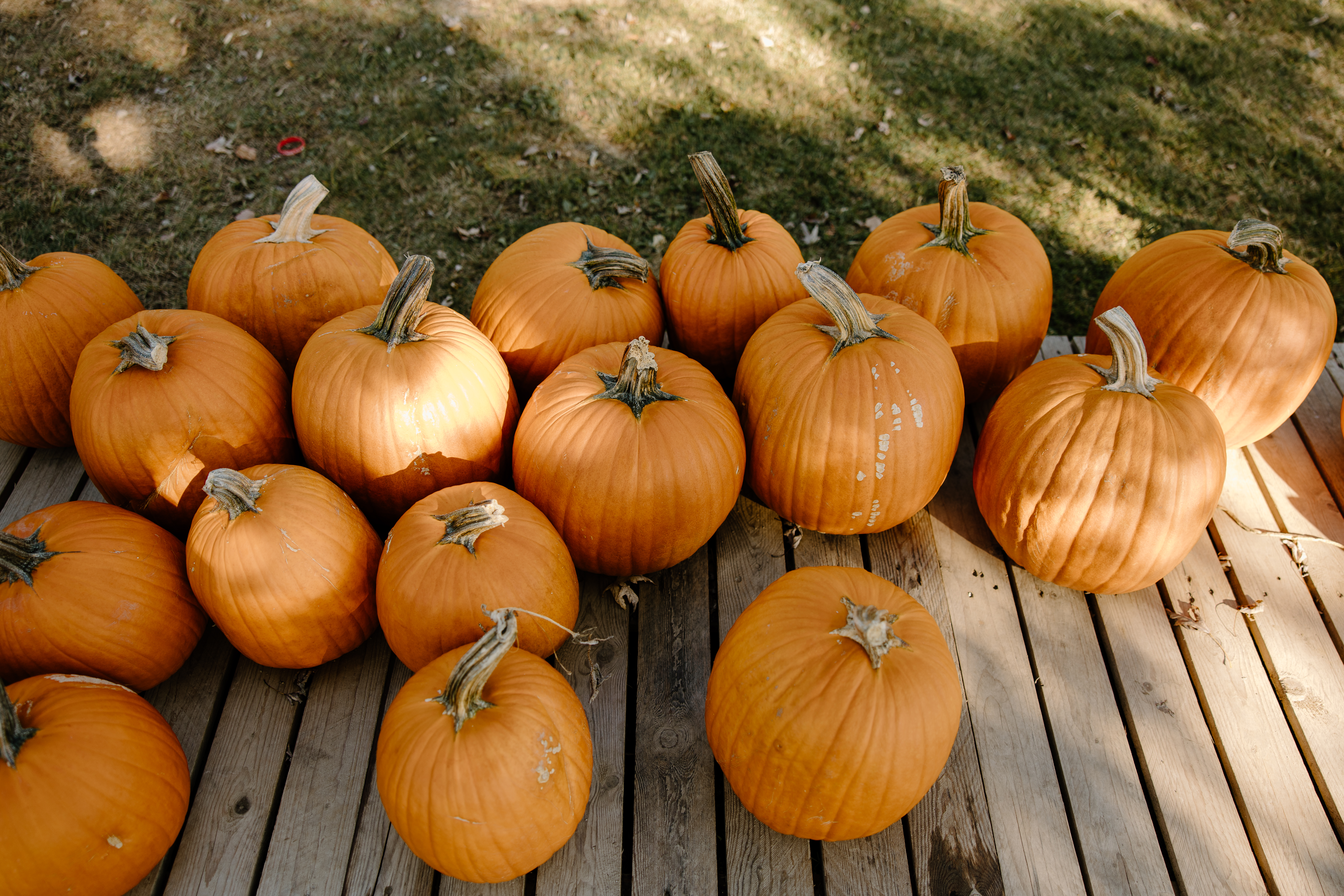Pumpkins lined up on a porch deck before styling