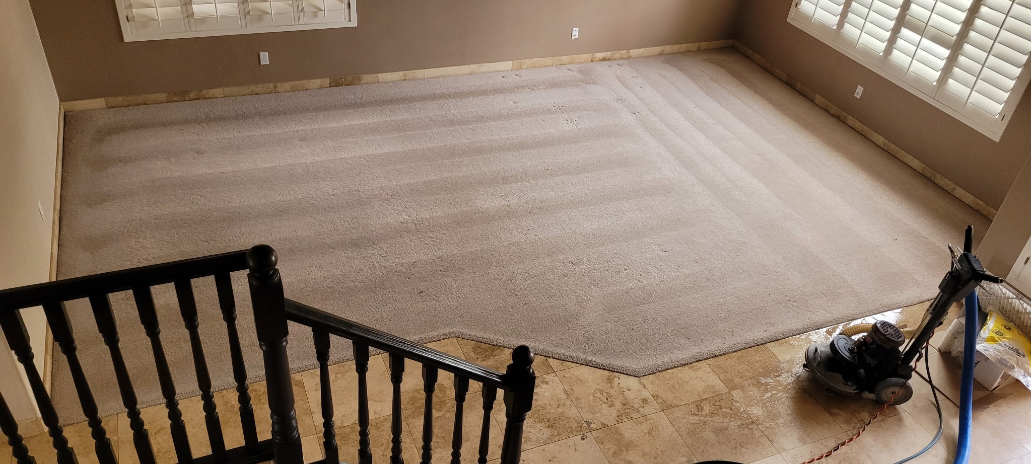 Carpet after cleaning