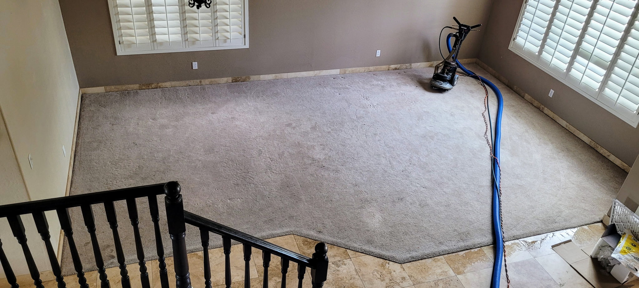 Carpet before cleaning