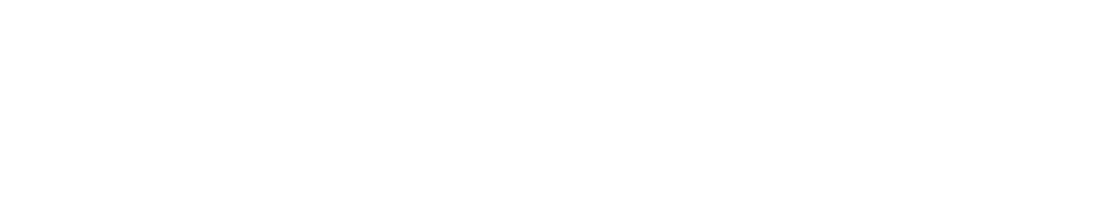 Strong Life Chiropractic & Performance