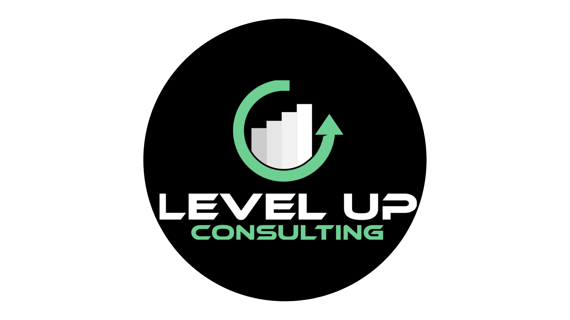 Level Up Consulting Agency