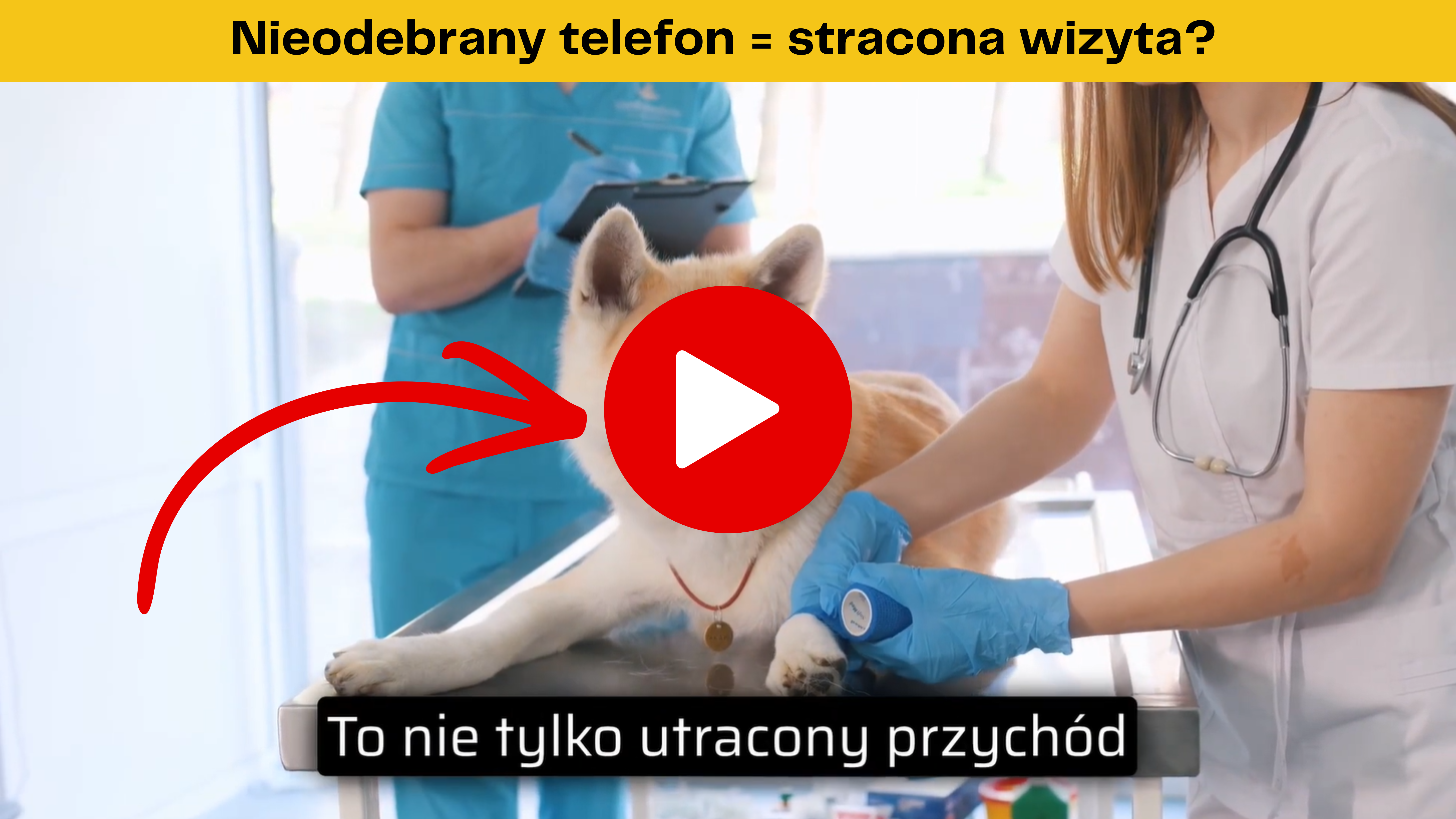 Prezentacja VetiDesk