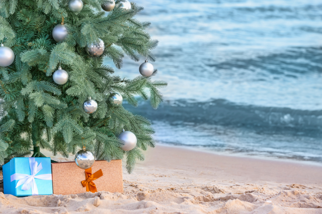 Vacation Rental Christmas Tree On The Beach Vacation Rental Christmas Tree On The Beach