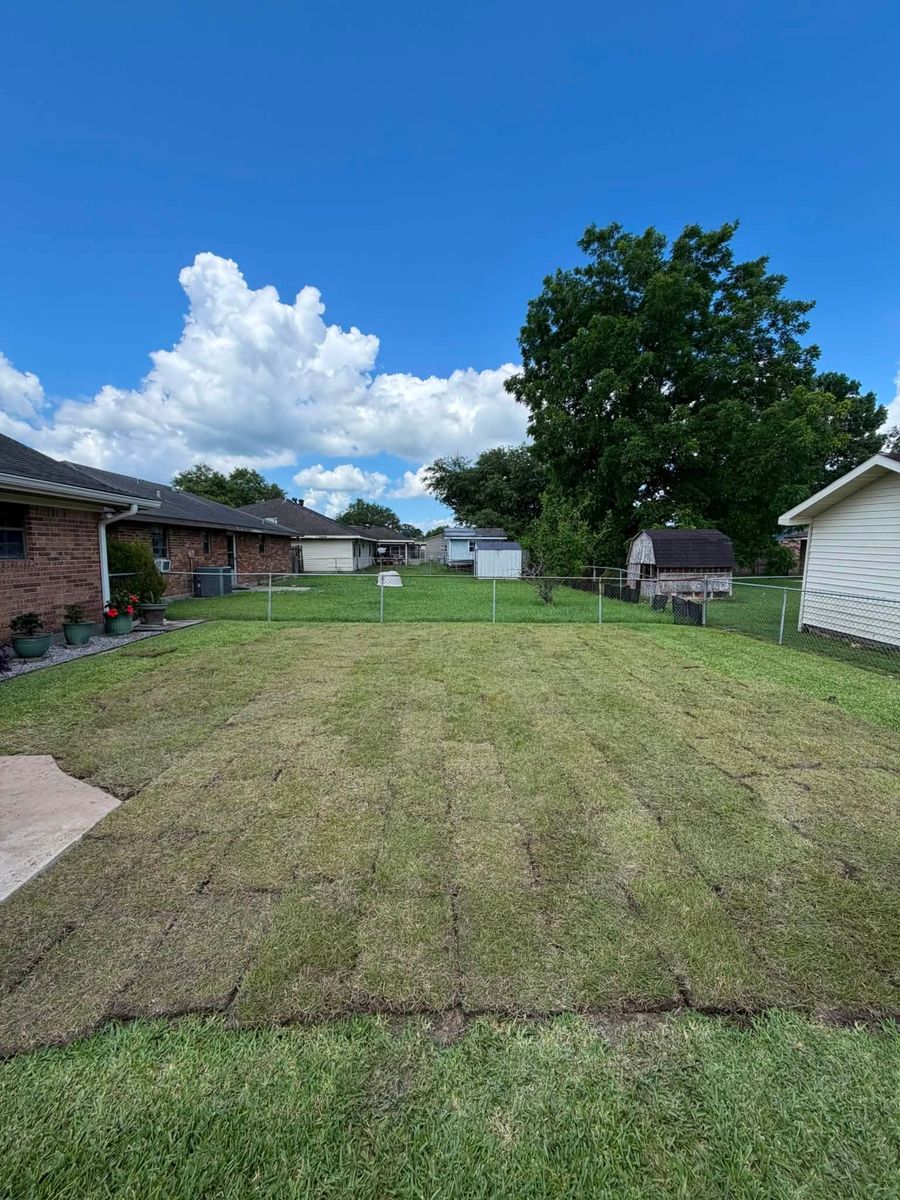 Freshly laid sod across a residential backyard