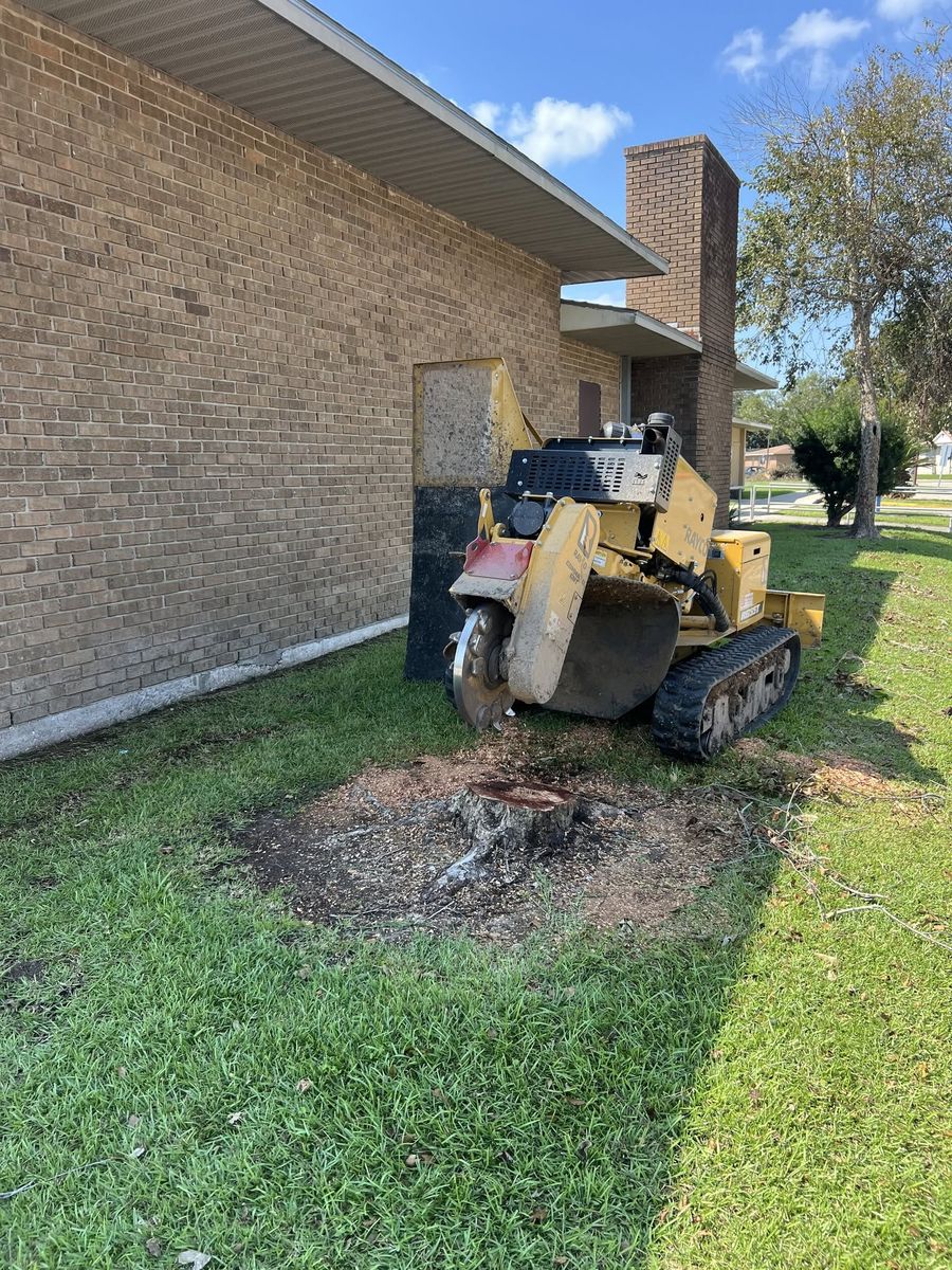 Stump grinder at a freshly ground tree stump beside a brick building