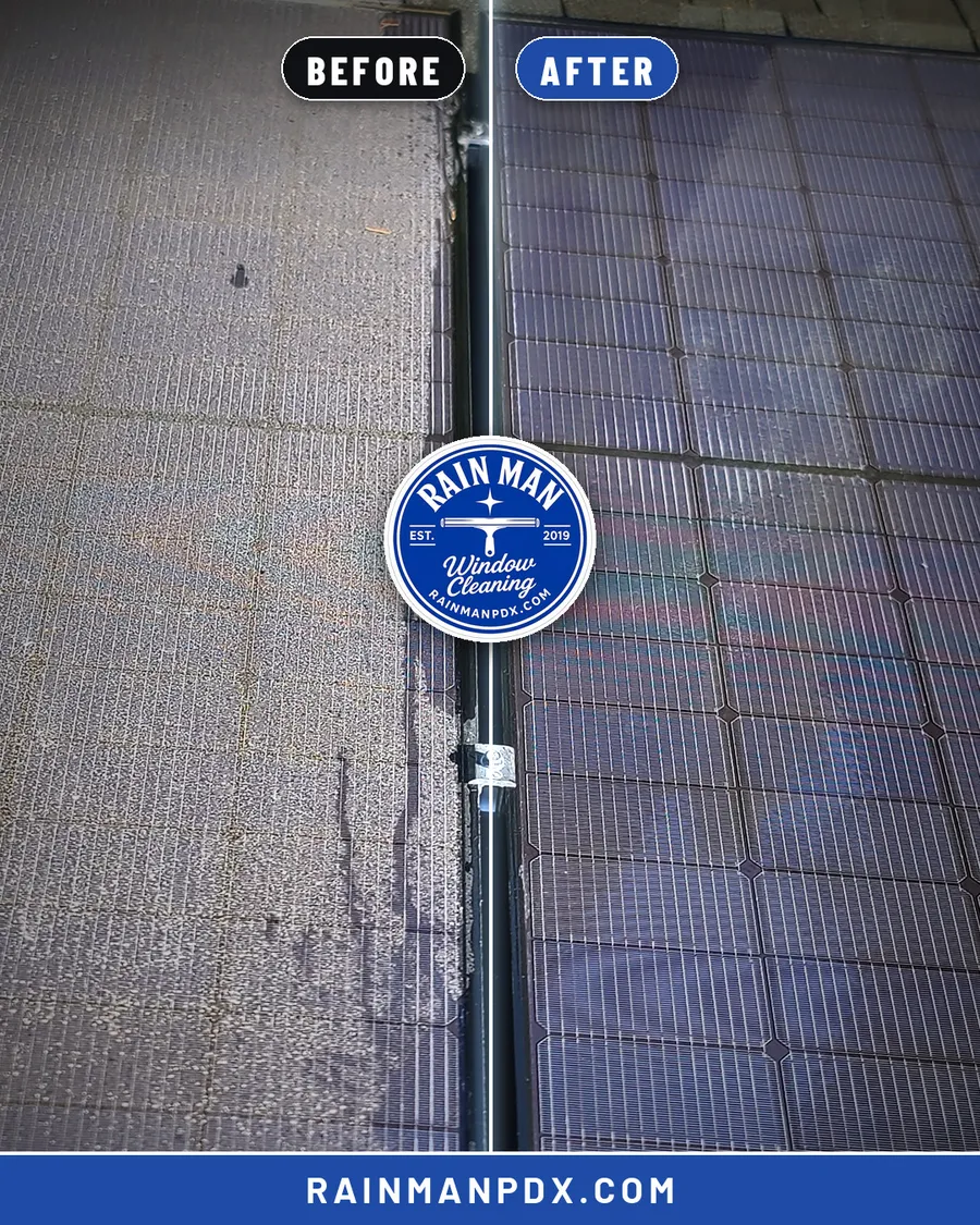 Dirty solar panel on the left, cleaned panel on the right, split down the middle