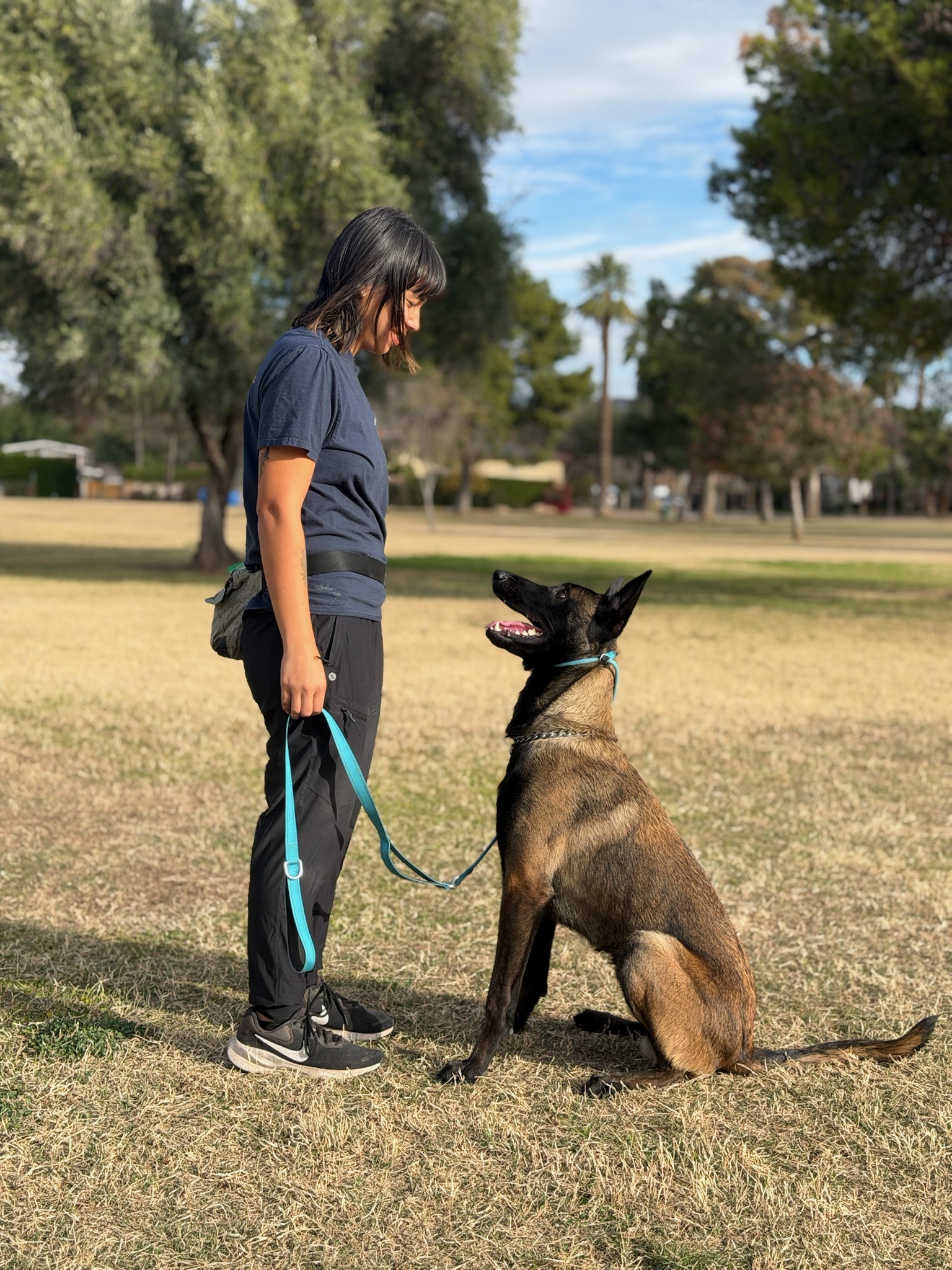 drop-off-dog-training