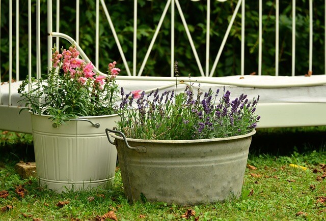 flower container