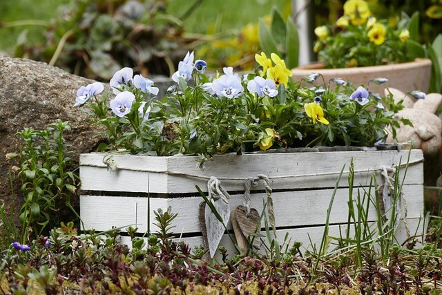 container for gardening