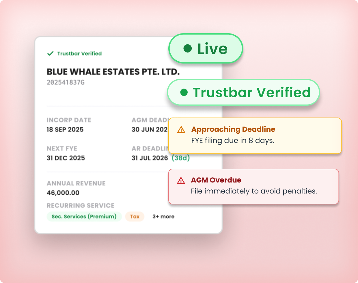 Portfolio View