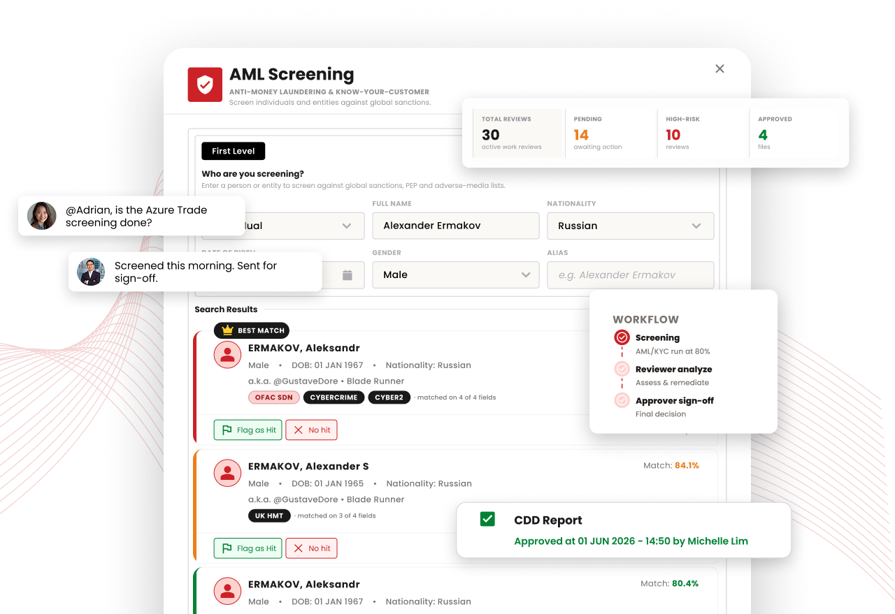 AML Screening Interface
