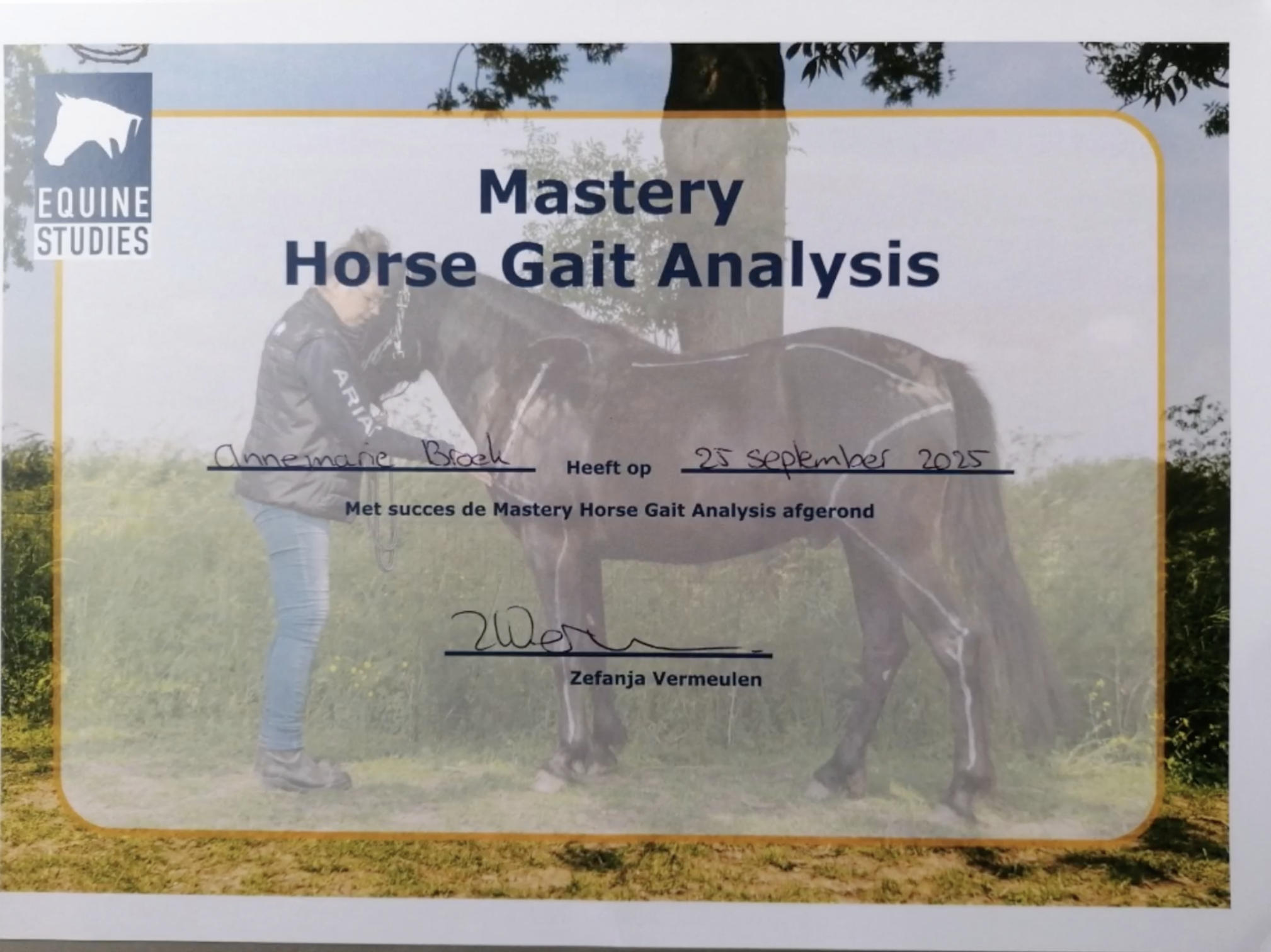 Certificat Mastery Horse Gait Analysis — Equine Studies (2025)