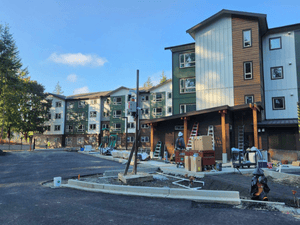 {{ custom_values.service_1 }} in {{custom_values.area_1})