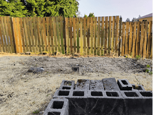 {{ custom_values.service_3 }} in {{custom_values.area_2})