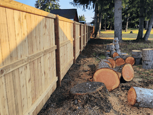 {{ custom_values.service_3 }} in {{custom_values.area_5})