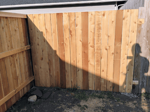 {{ custom_values.service_4 }} in {{custom_values.area_1})