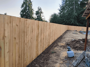 {{ custom_values.service_1 }} in {{custom_values.area_5})