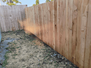 {{ custom_values.service_4 }} in {{custom_values.area_2})