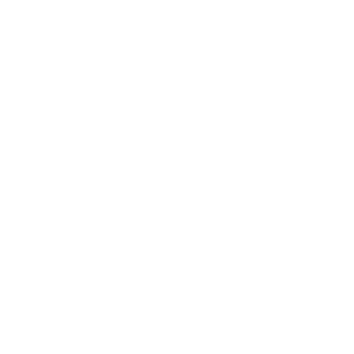 T4N Trans4Nation