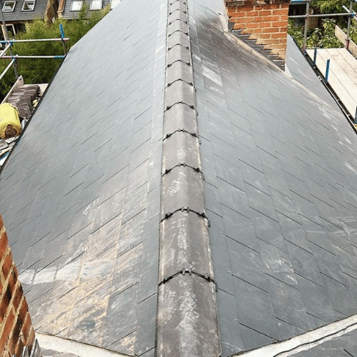 Recent roof project