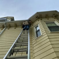 North Shore Wildlife technician on a ladder inspecting a roofline
