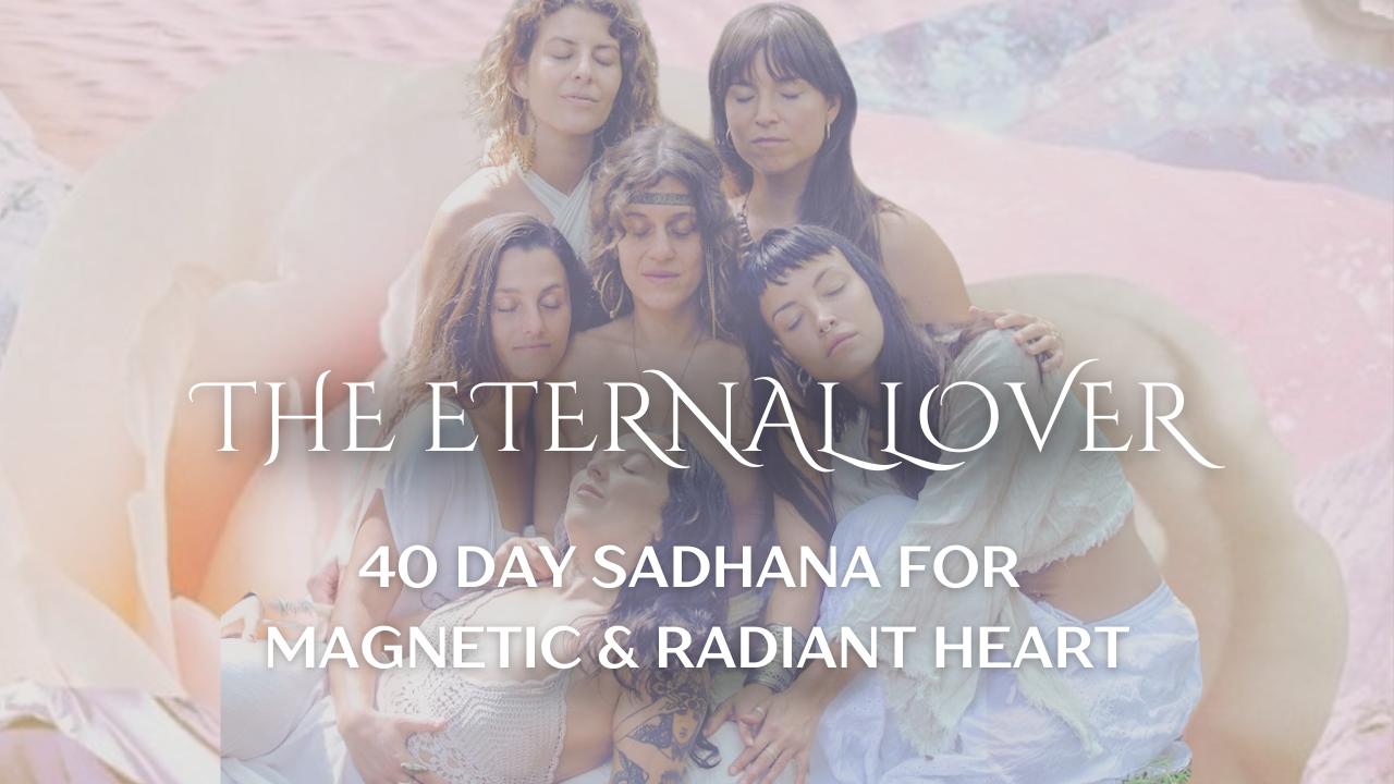 Eternal Lover program visual