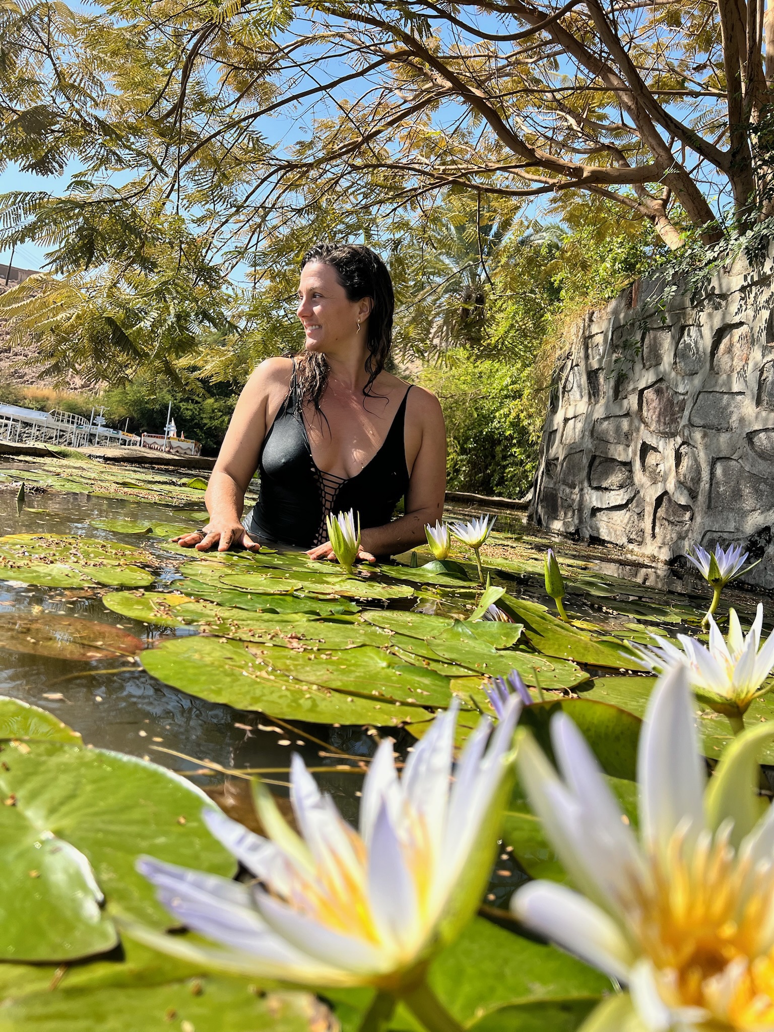 Blue Lotus ceremony