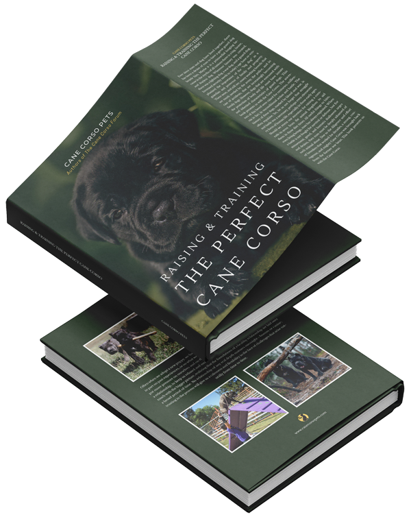The Cane Corso book — limited edition