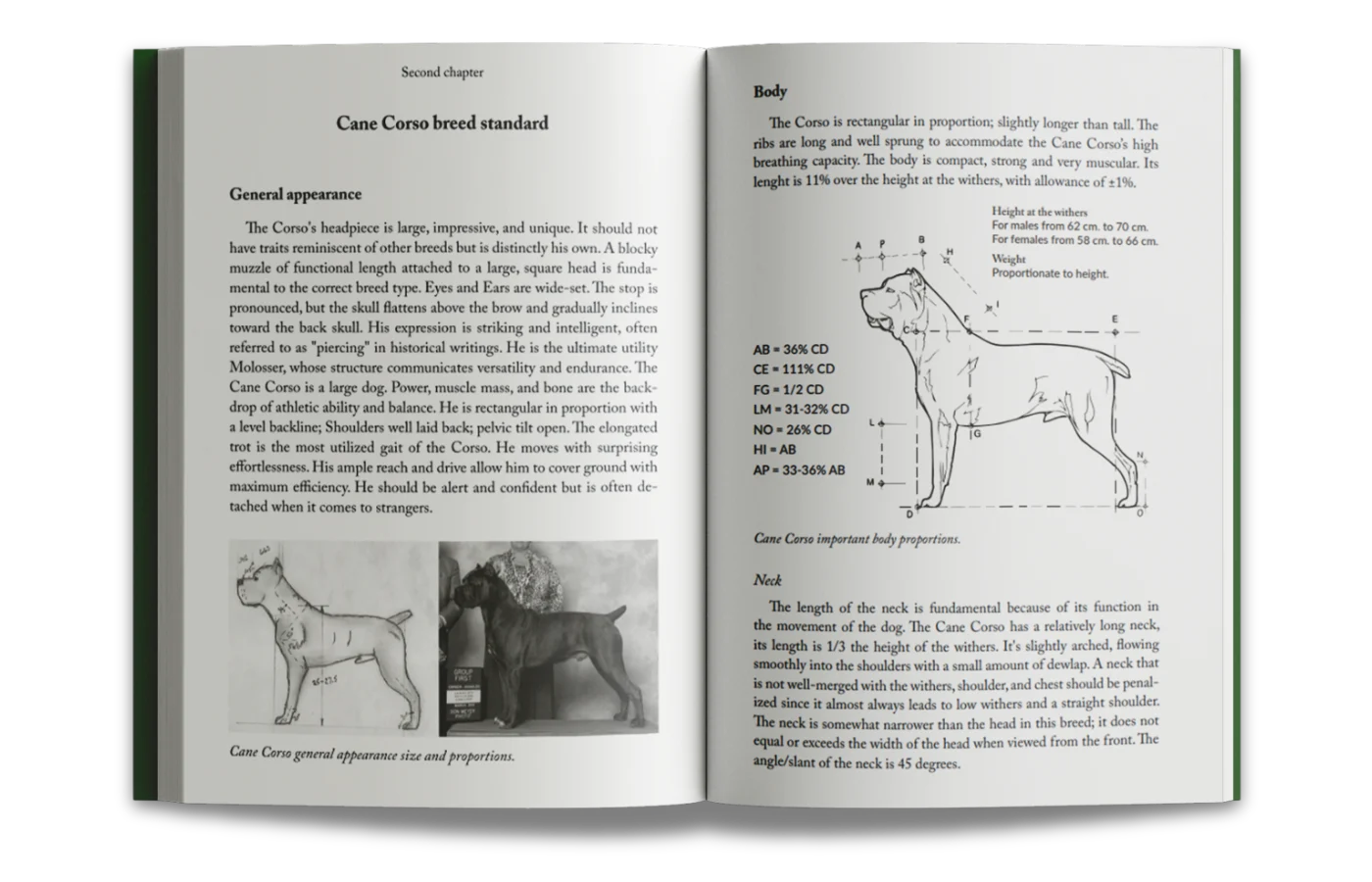 Breed standard