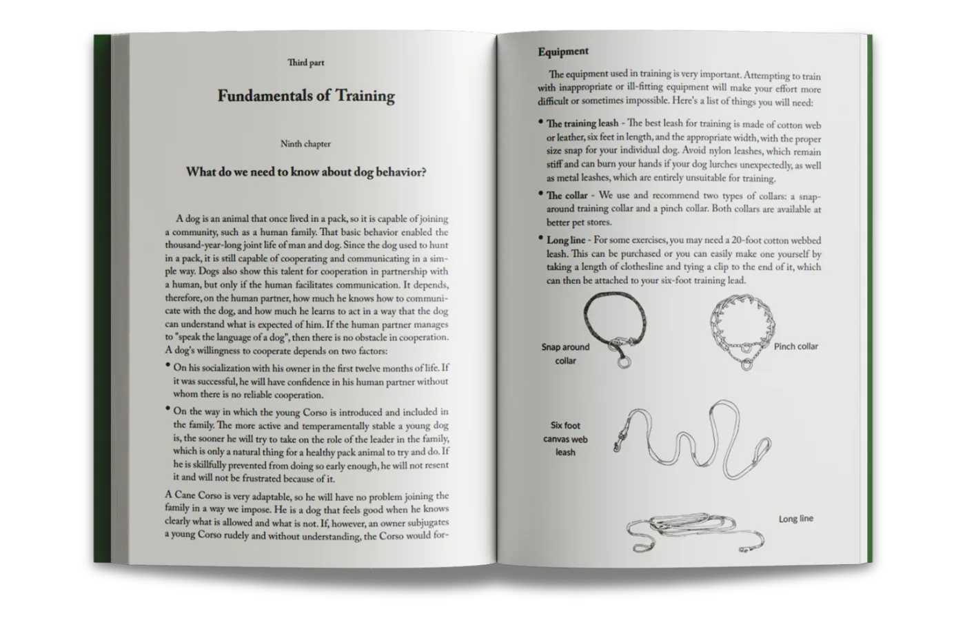 The art of training