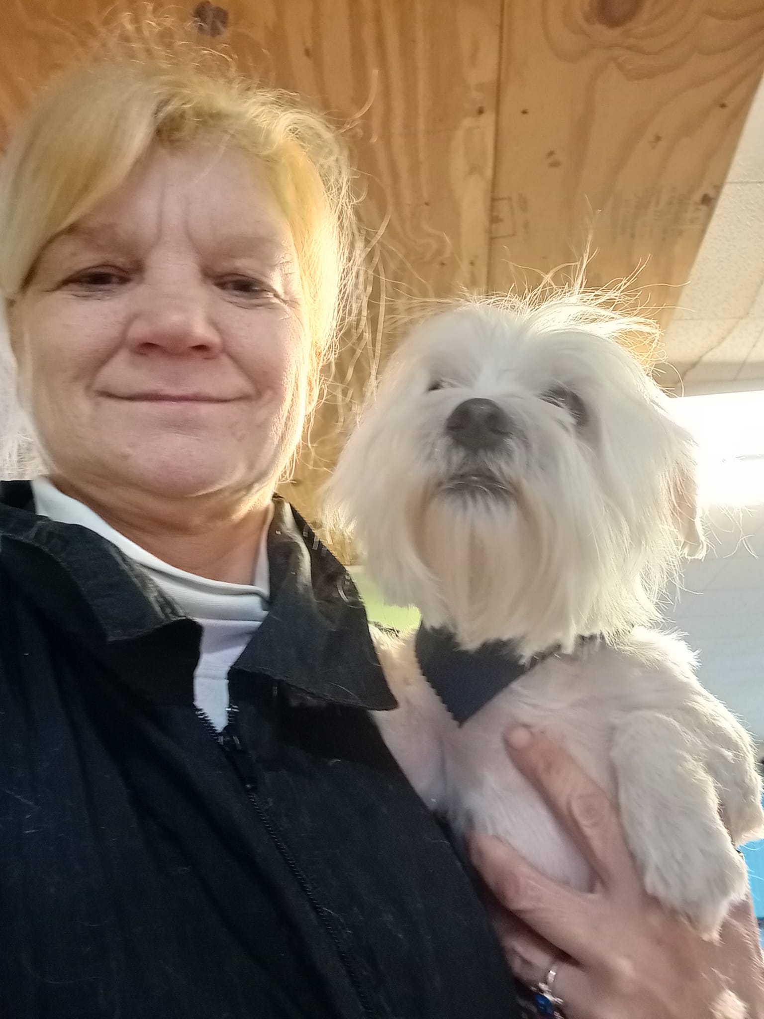 Dog Grooming in Summerville