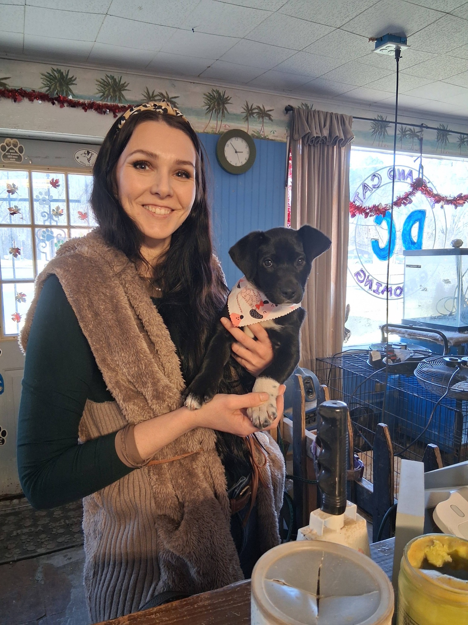 Flea Treatment Summerville