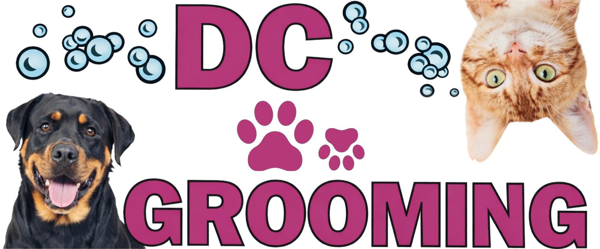 Dog Grooming Summerville