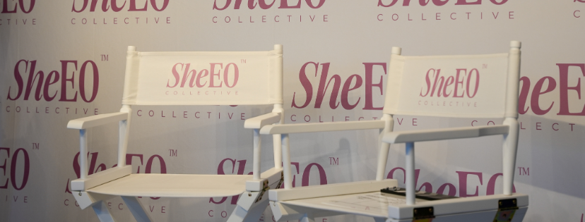 SheEO Collective mastermind workshop session