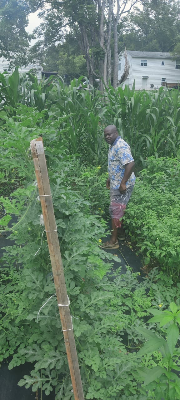 Deji Ayo working in a backyard vegetable garden in Johnson City, Tennessee