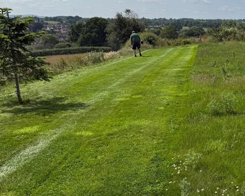 Professional Lawn Treatments Ellesmere