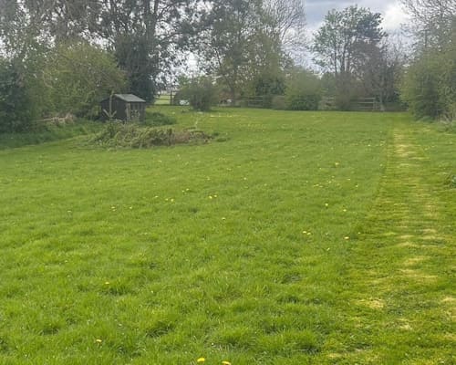 Before Lawn Scarification Ellesmere