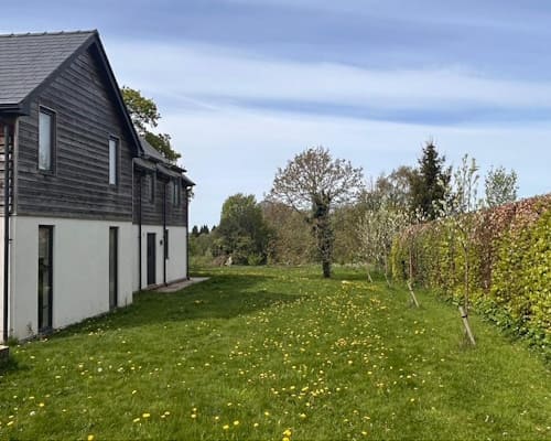 Before Lawn Aeration Ellesmere