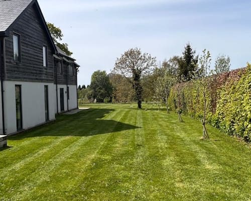 Professional Lawn Aeration Ellesmere