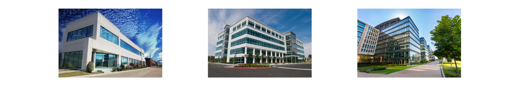 Office Building Options