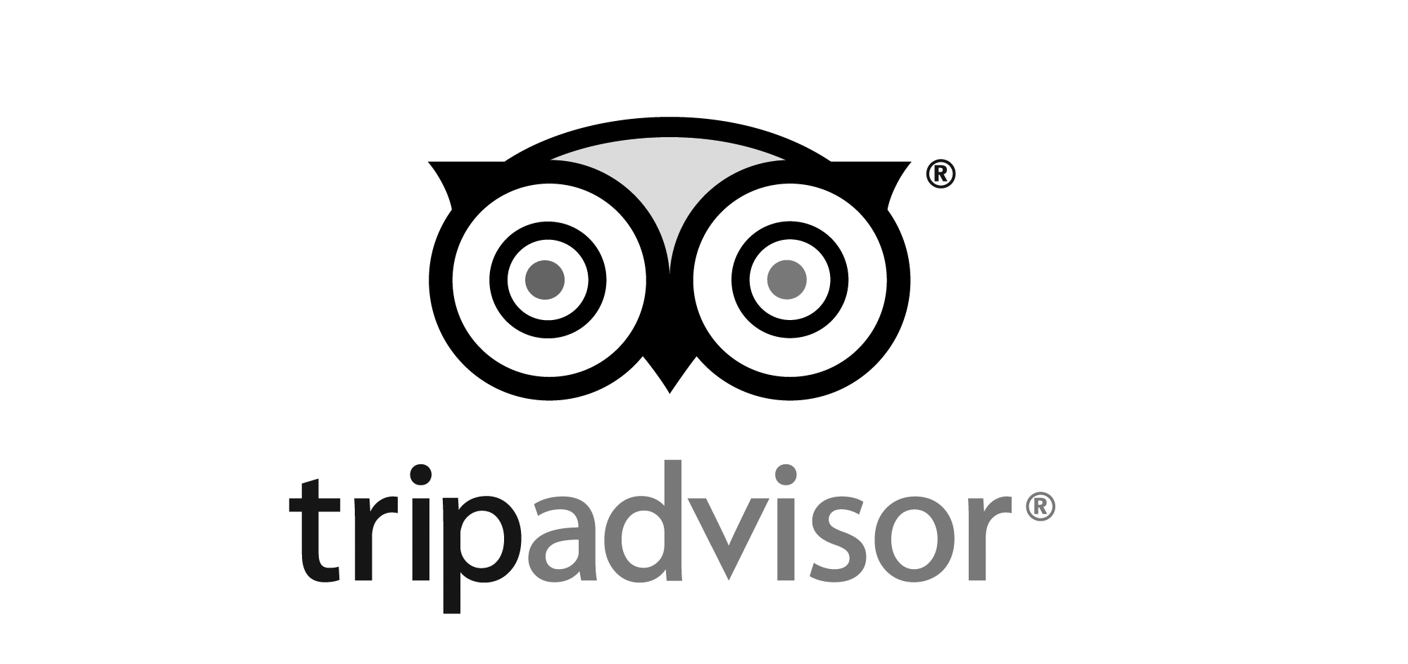 trip advisor logo