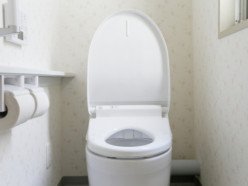Toilet Repair & Replacement in Leander, Texas