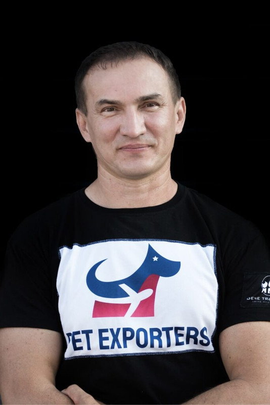 Dragomir — profesionalni pratilac pasa na transatlantskim rutama Balkan SAD