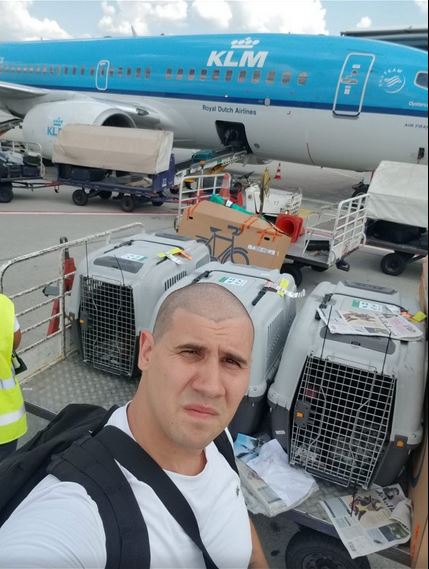 Predaja psa vlasniku u Americi — door-to-door dostava