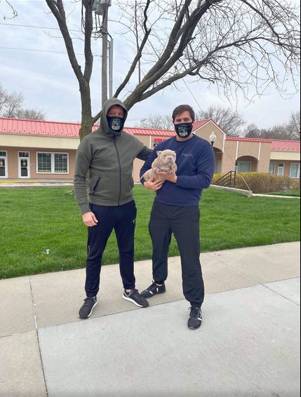 Predaja psa vlasniku u Americi — door-to-door dostava